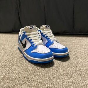 BRAND NEW NIKE DUNKS